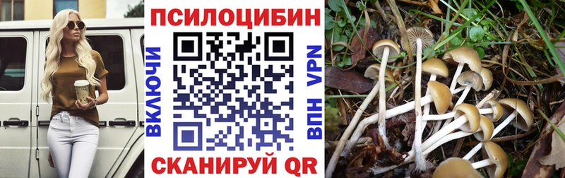 Псилоцибиновые грибы Magic Shrooms  Северо-Курильск 